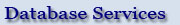 Go to Database Services.